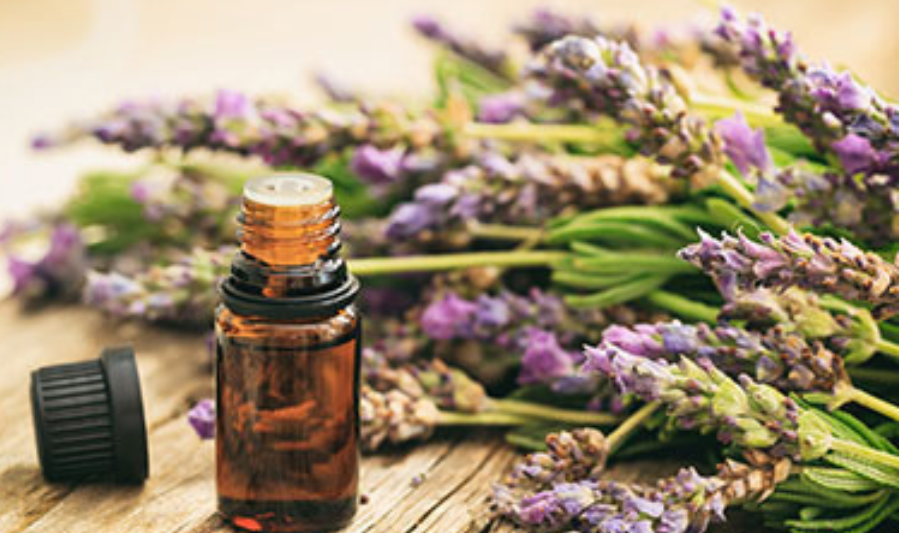 How Herbal Ingredients Support the Body Naturally
