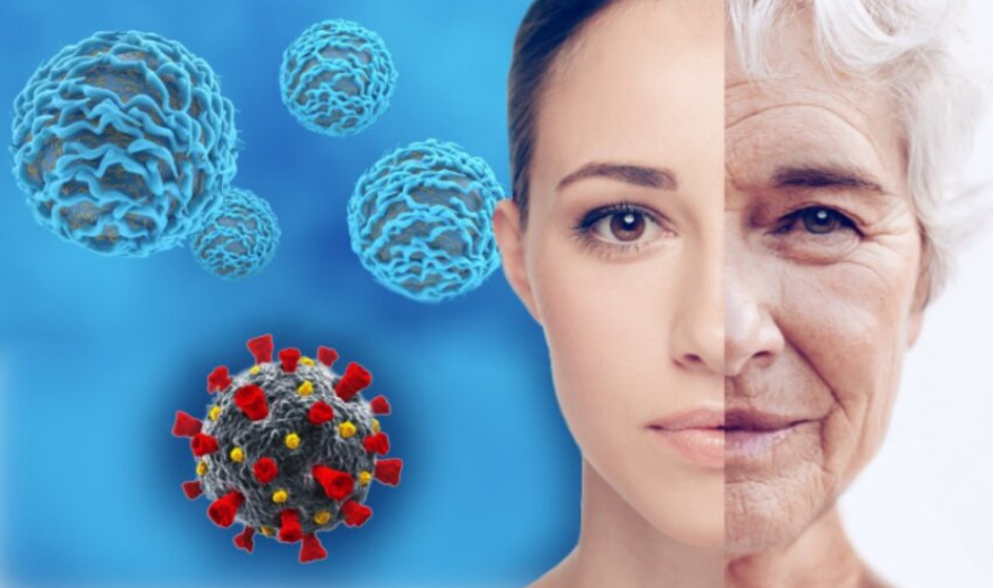 Key Factors Affecting Immune Health