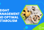 metabolism boost weight management